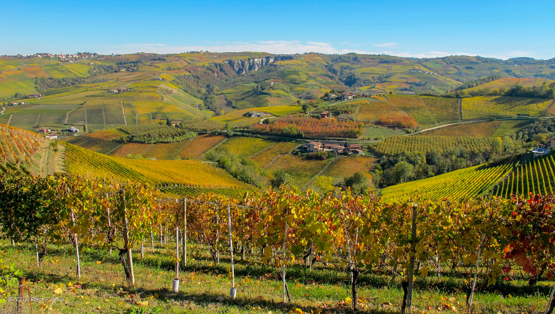 Hills and vineyards of the Langhe